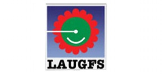 Laugfs Holdings Limited